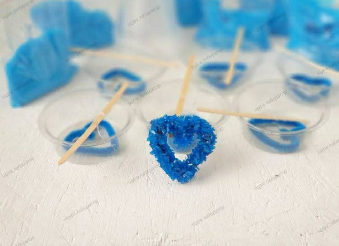 Тайните от лабораторията на Дядо Щур Коледа!